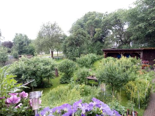 Taman di luar Ferienwohnung Beate Engelhardt
