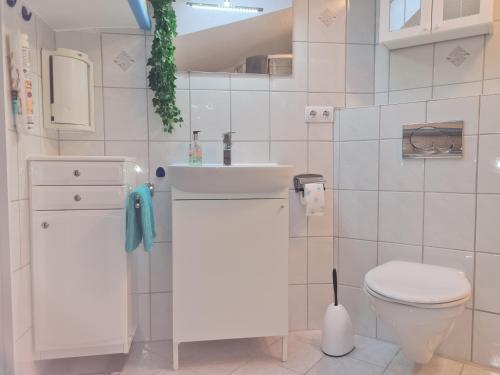 a bathroom with a white sink and a toilet at Höllenbergblick in Spirkelbach