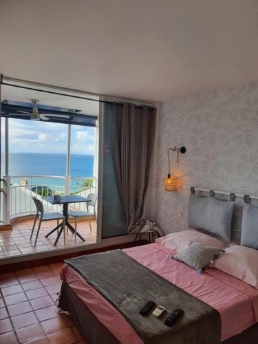a bedroom with a bed with a view of the ocean at Vacance au soleil ! studio Abricot 310 in La Trinité