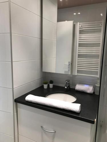 une salle de bain avec un lavabo et un miroir dans l'établissement LE LYS D'OR - cosy et proche lac, balcon terrasse, à Annecy