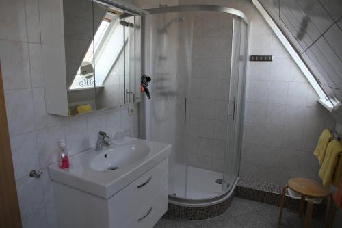 ein Bad mit einem Waschbecken und einer Dusche mit einem Spiegel in der Unterkunft Haus Wattenmeer in Tönning