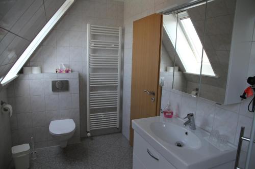 a bathroom with a sink and a toilet and a mirror at Haus Wattenmeer in Tönning