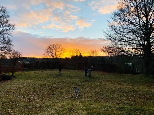 a group of people and a dog in a field at sunset at Hôtel de famille L.F.M.A.L. in Giat
