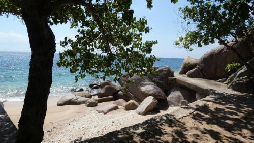 a beach with rocks and a tree and the ocean at Tao Thong Villa 2 in Ko Tao