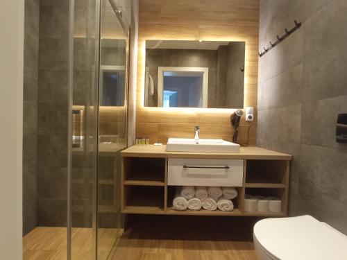 a bathroom with a sink and a shower at Apartamenty Woda i Las in Turawa