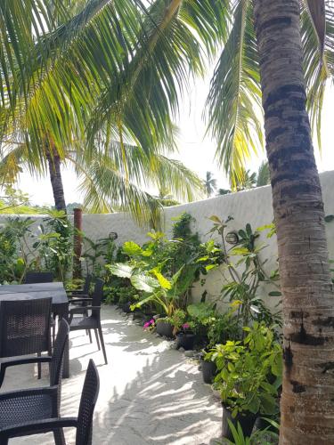 Un jardín fuera de Island Zephyr