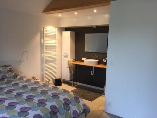 Schlafzimmer mit einem Bett, einem Waschbecken und einem Spiegel in der Unterkunft Le temps d’une balade. in Olne