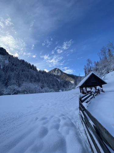 a snow covered field with a hut in the background at Turistična kmetija Čerček in Solčava