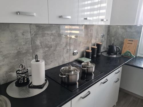 cocina con fogones, ollas y sartenes en Apartament Nova przy S3, en Nowa Sól