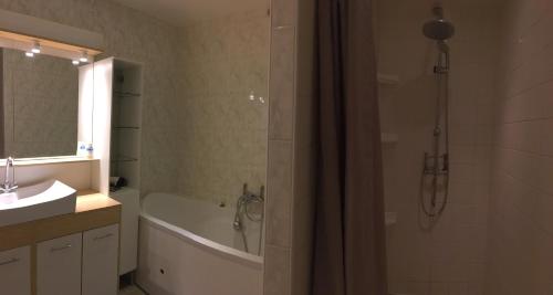 a bathroom with a tub and a sink and a shower at maison Mouilhade in Chaspuzac