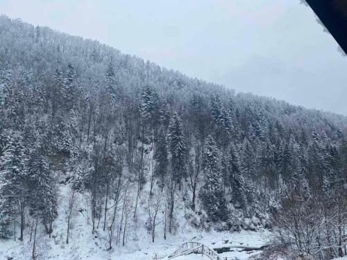 Una colina cubierta de nieve con árboles. en Писанка Плюс, en Yaremche