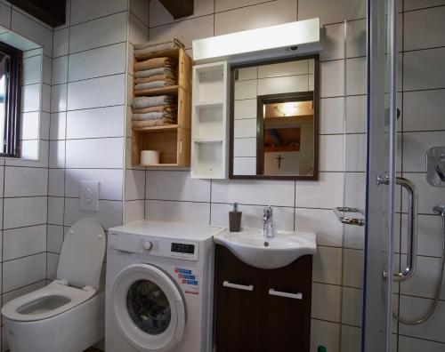 a bathroom with a washing machine and a sink at Holiday House Podhamer Boris with private Wellness in Ljutomer