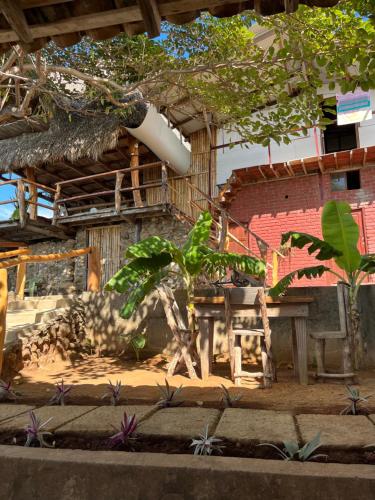 a table and a tree in front of a building at Monkey House Hostel in Tola