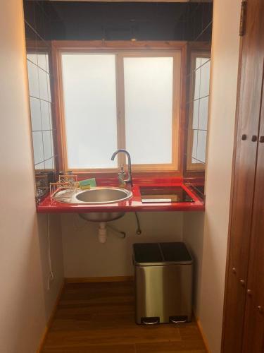 a bathroom with a sink and a window at French Andes Apart Hostel in Pucón