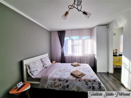 - une chambre avec un lit et une fenêtre dans l'établissement ~Fantastic Studio Petroșani~, à Petroşani