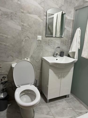 a bathroom with a toilet and a sink and a mirror at Hotel Tatul in Momchilgrad