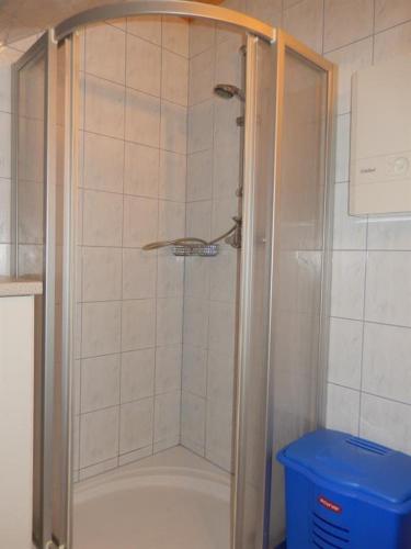 a shower with a glass door in a bathroom at Kleines Ferienhaus Koglerhütte in Rossleithen