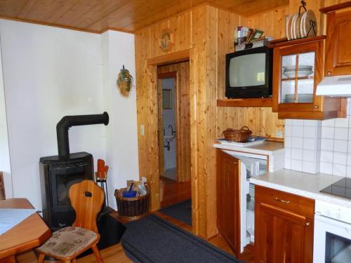 a kitchen with a stove and a tv in it at Kleines Ferienhaus Koglerhütte in Rossleithen