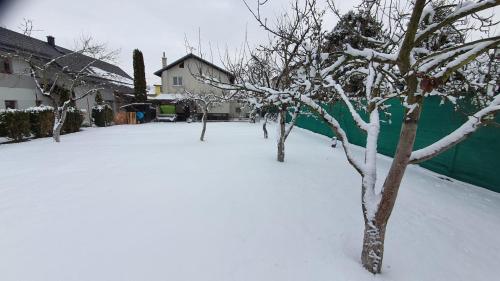 a snow covered yard with trees and a house at Retrohaus in Liptovský Mikuláš