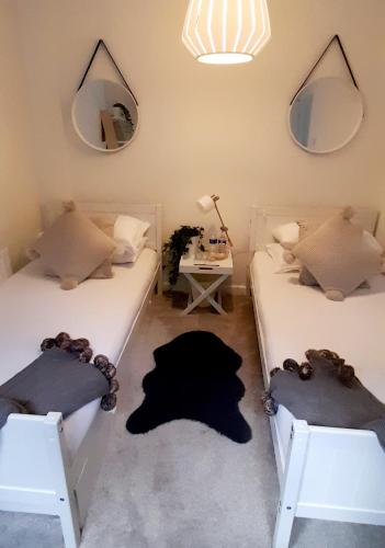 two beds in a room with a cat laying on the floor at Sunny-side-up in St Austell