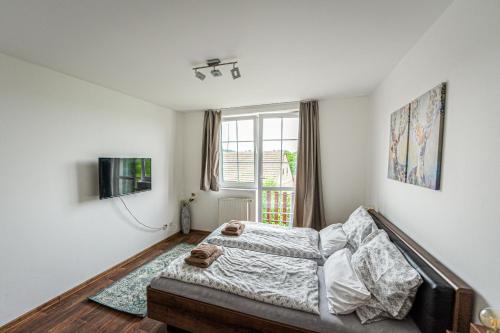 a bedroom with a bed and a tv and a window at JEZ&SPI Plánice in Plánice