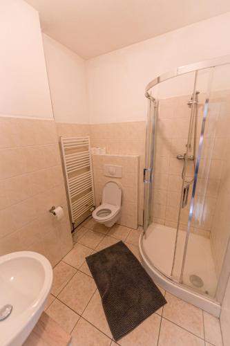 a bathroom with a shower and a toilet and a sink at JEZ&SPI Plánice in Plánice
