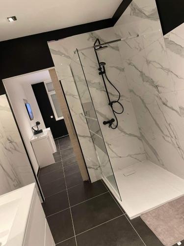 een badkamer met een douche en een glazen wand bij Room of Tournai 2 in Tournai
