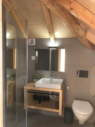 ein Badezimmer mit Waschbecken und Toilette in der Unterkunft Casa Nova Rural in Nelas