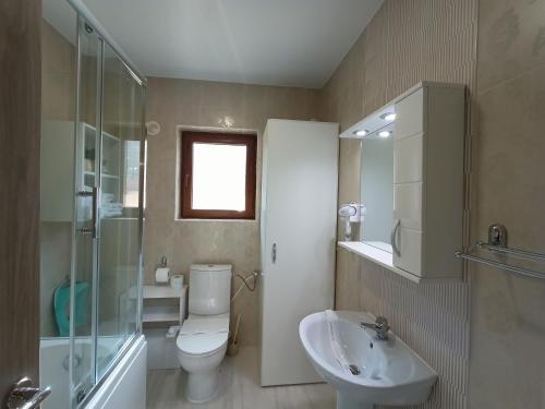 Kamar mandi di Apartament Eric, Busteni