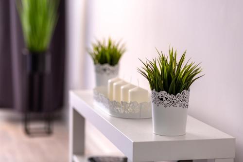 Fotografia z galérie ubytovania Apartament Anna v Krynici-Zdrój