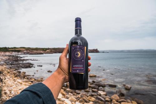 a person holding a bottle of wine on a beach at Funtana'e Mari in Gonnesa