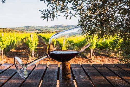 a glass of wine sitting on a table in front of a vineyard at Funtana'e Mari in Gonnesa