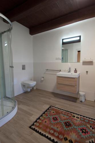 a bathroom with a sink and a toilet and a mirror at Flyns in Görlitz