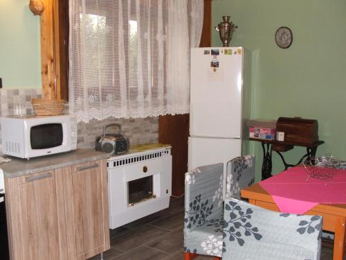 eine Küche mit einem weißen Kühlschrank und einer Mikrowelle in der Unterkunft Zsiga Apartmanház in Balatonszabadi