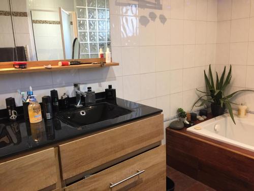 Fotografie z fotogalerie ubytování La Villa Des Cigales v destinaci Saint-Jean-de-Védas