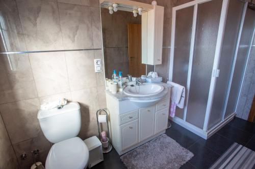 La salle de bains est pourvue de toilettes, d'un lavabo et d'une douche. dans l'établissement Apartamento Teresa, à Cambados