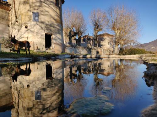 a horse is standing next to a body of water at Chateau de Beaucouse in Thoard