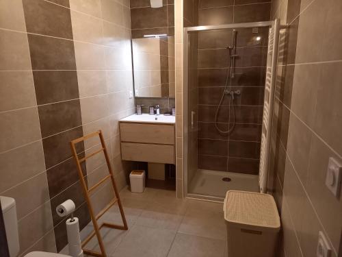 La petite salle de bains est pourvue d'une douche et d'un lavabo. dans l'établissement Appartement Les Vallons au pied des pistes, à Ancelle