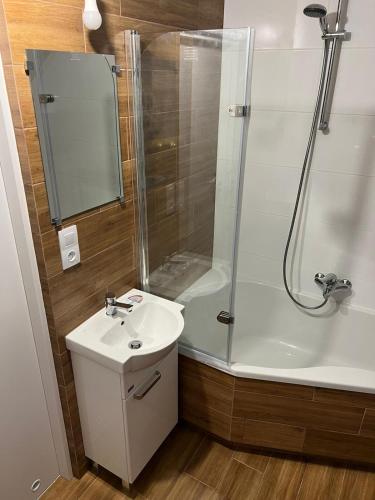 a bathroom with a shower and a sink and a toilet at 22 Kąty in Radziemice