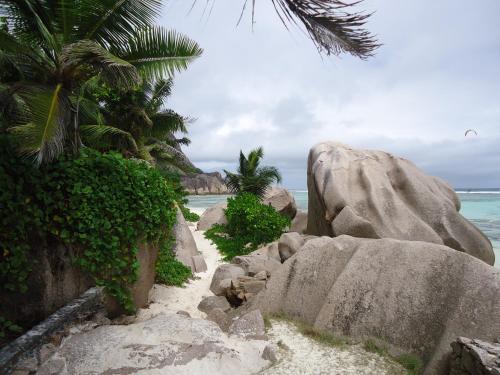 a beach with rocks and palm trees and the ocean at Chez Michellin Pensions Residence in La Digue