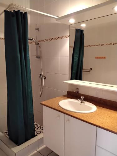 bagno con lavandino e doccia di Appartement entier à Terre de Haut - Chez Odile a Terre-de-Haut