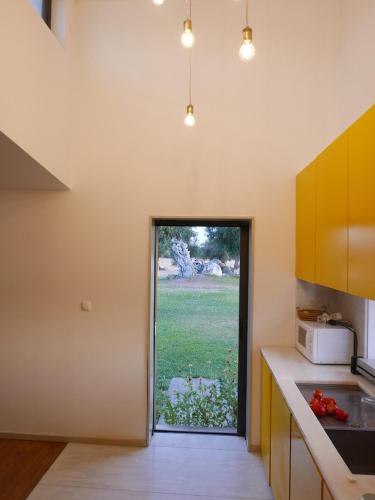 a kitchen with a door leading to a yard at Casa do Vale da Terra Negra in Vila Nova da Baronia