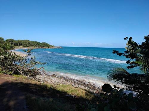 a view of a beach with the ocean at Haut de villa avec vue sur la mer in Sainte-Rose