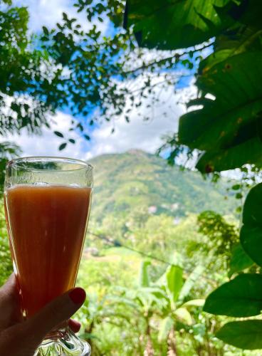 a hand holding a glass of orange juice with a view at Secret Mountain Paradise in Ella