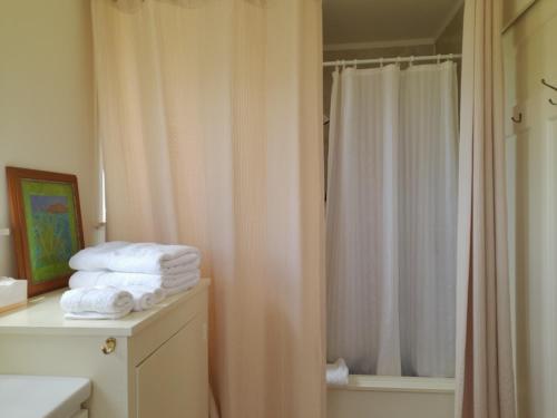 Un baño de Taranaki