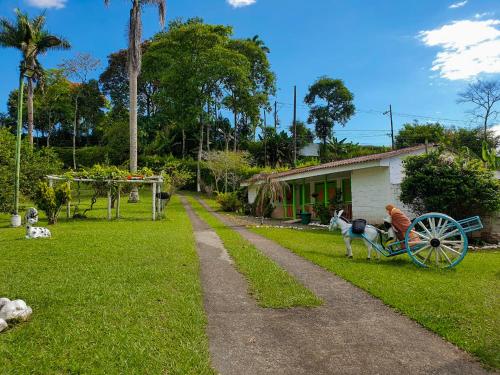 a child playing with a cannon in front of a house at Tree House Finca La Floresta Verde in Rizaralda