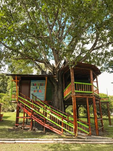 a tree house built around a tree at Tree House Finca La Floresta Verde in Rizaralda