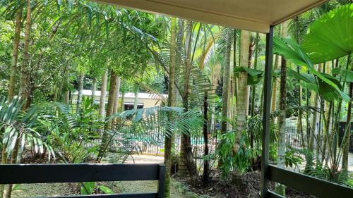 ławkę w lesie palmowym w obiekcie Boutique Bungalows w mieście Mission Beach