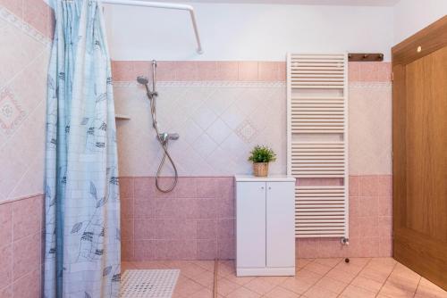 a bathroom with a shower with a plant on a cabinet at Agritur Alle Quattro Stagioni in Tonadico