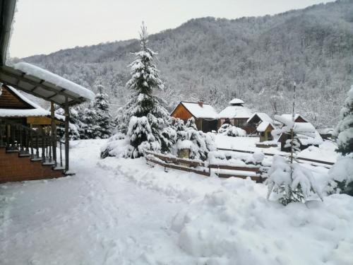 Stara Khata Карпати зимой
